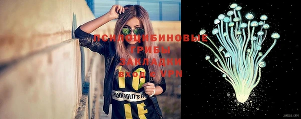 МДПВ Горнозаводск