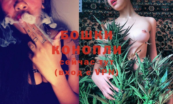 МДПВ Горнозаводск