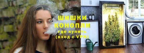 крисы Горно-Алтайск