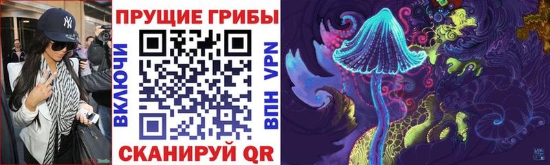 купить наркотики цена Куса Галлюциногенные грибы ЛСД